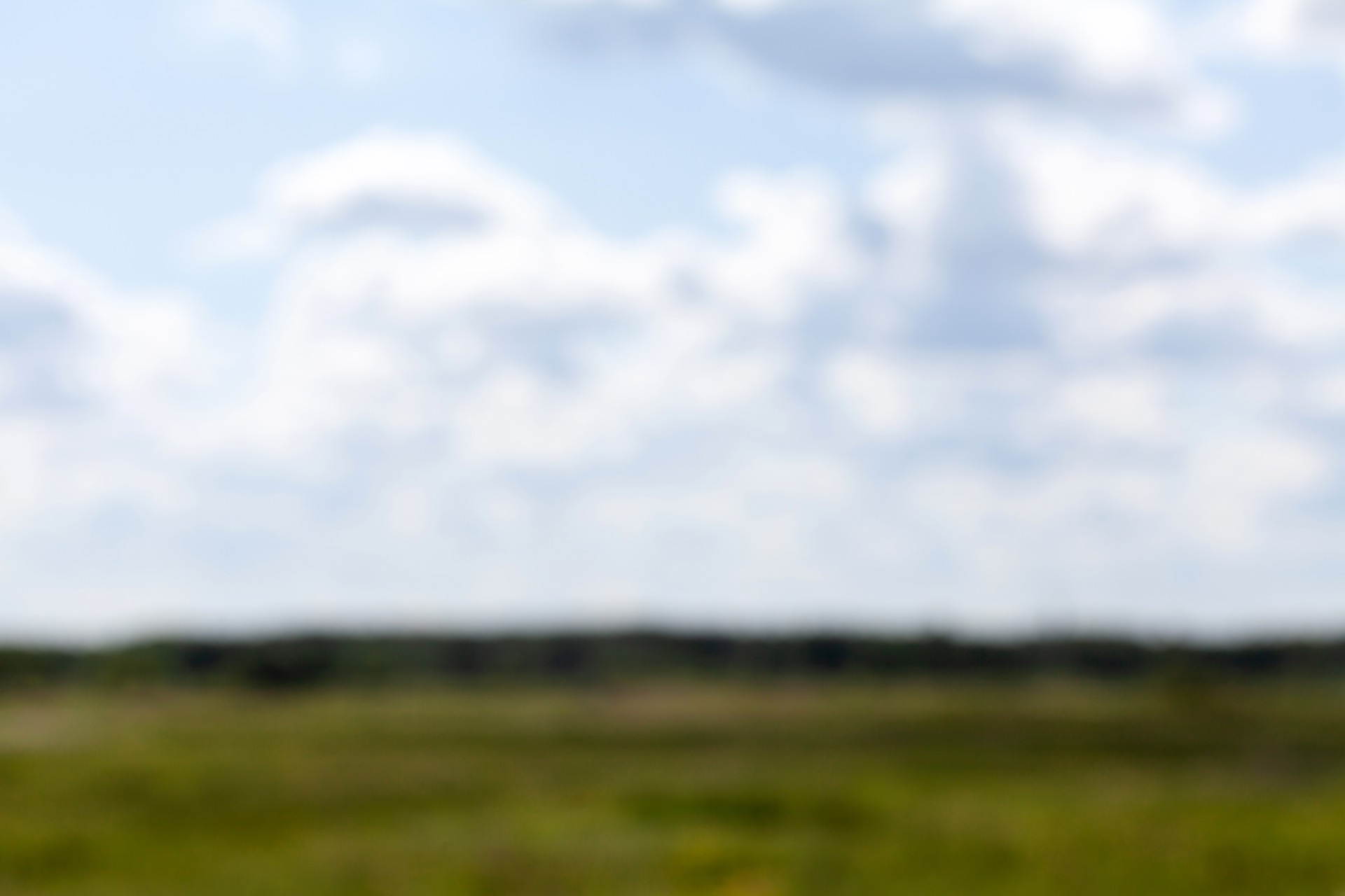 Shutterstock 2125977941