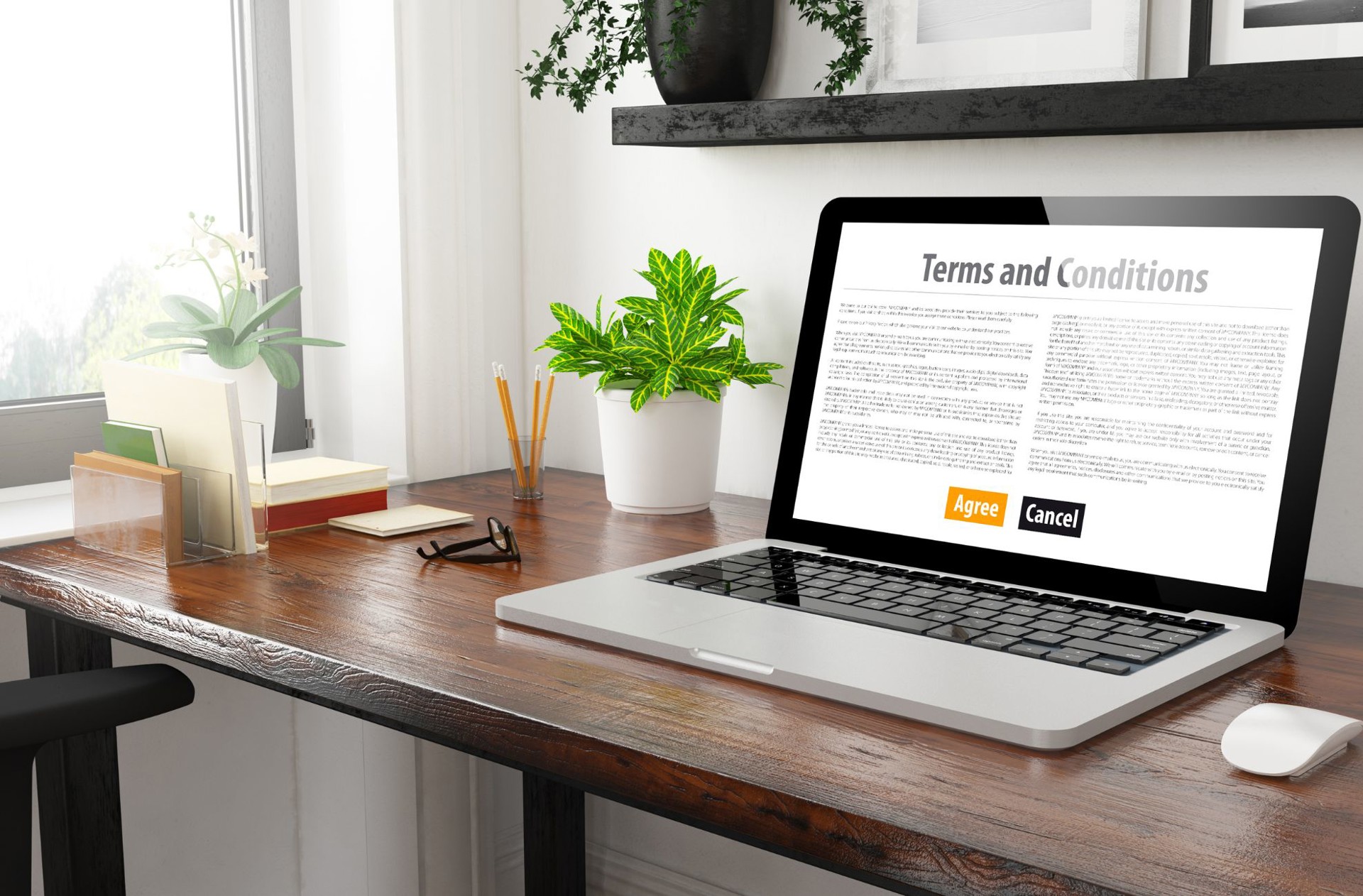 Terms & Conditions